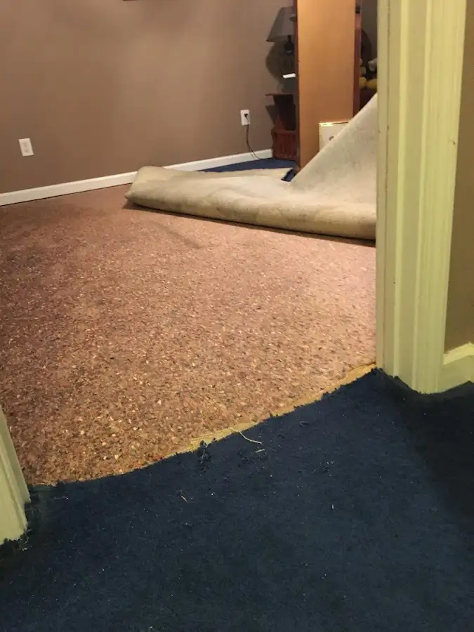 Carpet pad removal revealing water damage during Drying & Dehumidification in Pinellas Park