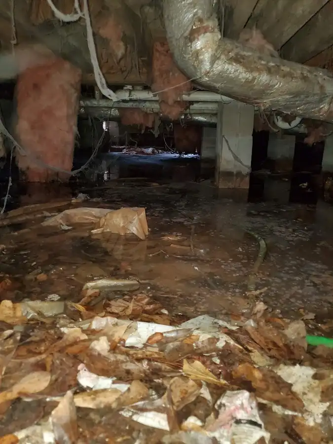 Crawl space flood assessment for Commercial Water Damage Restoration in Pinellas Park
