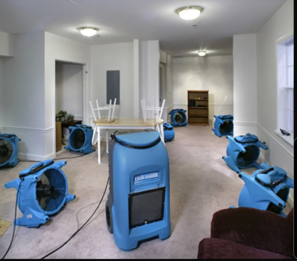 Air movers and dehumidifier setup for Water Extraction & Removal in Pinellas Park