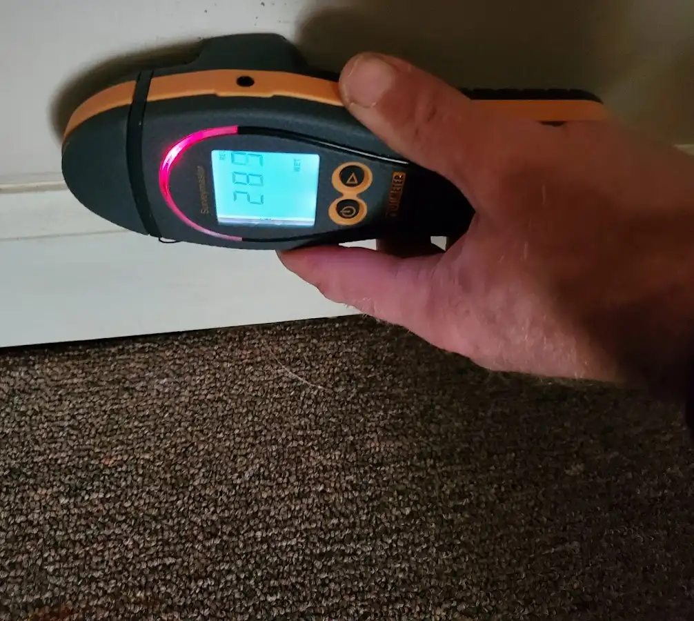 Moisture detection at baseboard during Mold Inspection & Testing in Pinellas Park